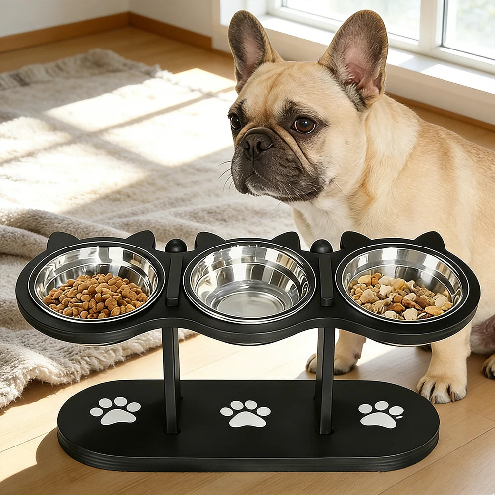 Lift Bowl Elevated Pet Feeder