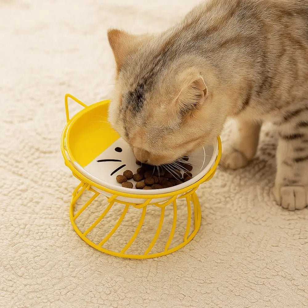 HappyBite Elevated Ceramic Cat Bowl