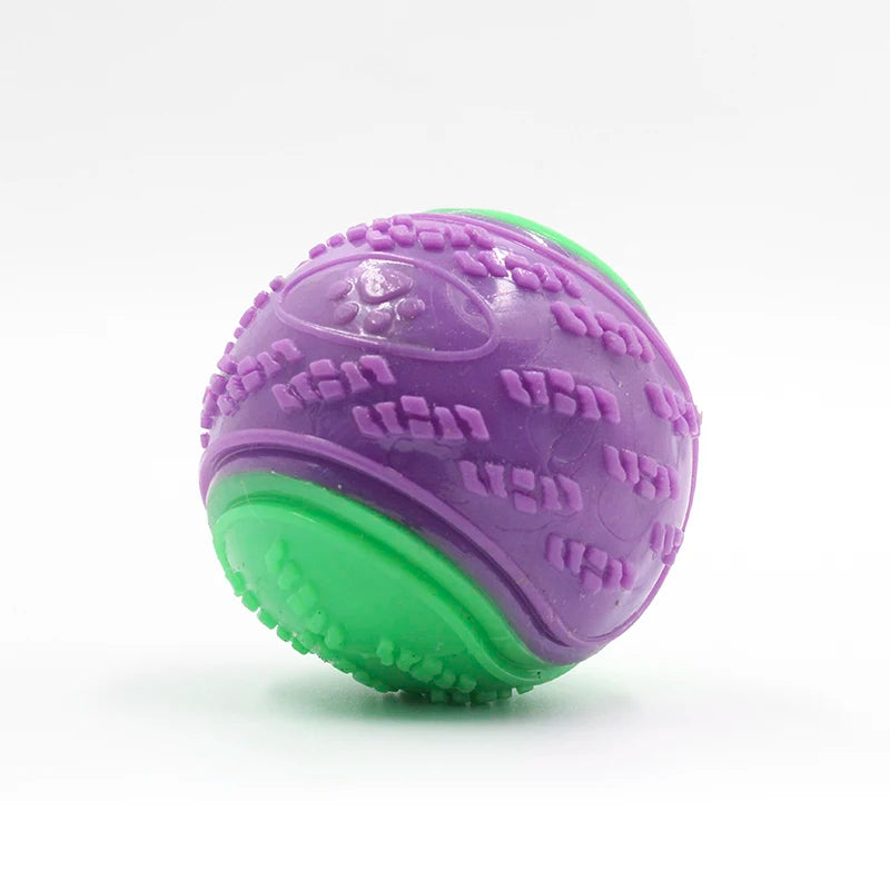 SqueakBall TPR Dog Toy