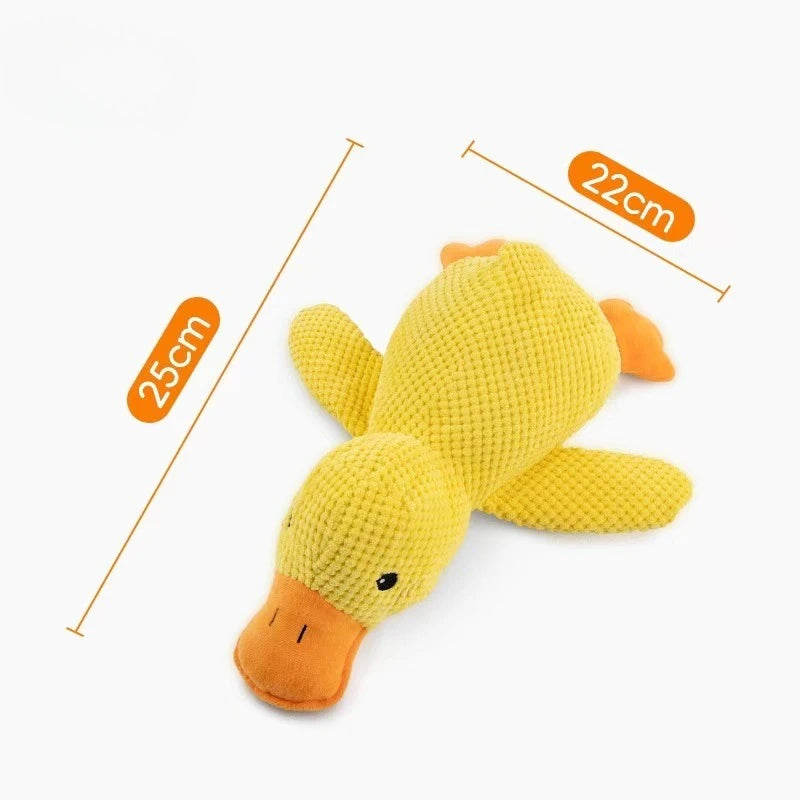 Interactive Plush Squeak Toy