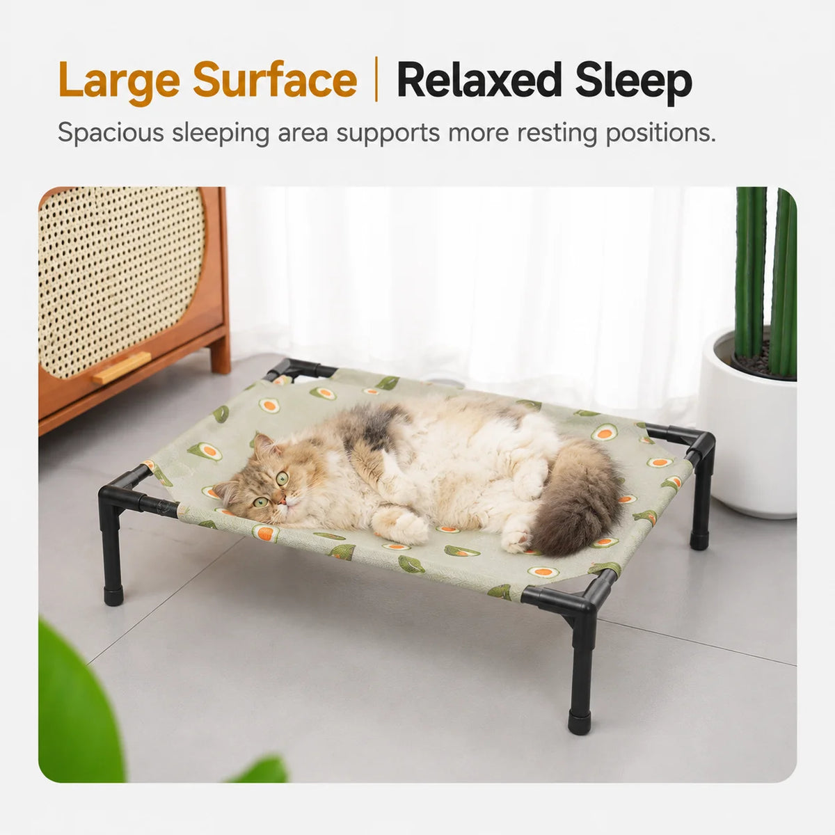Elevate Pet Lounge