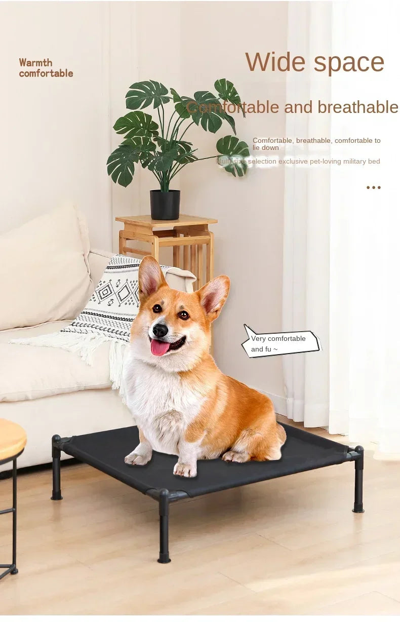 LiftEase Elevated Pet Bed