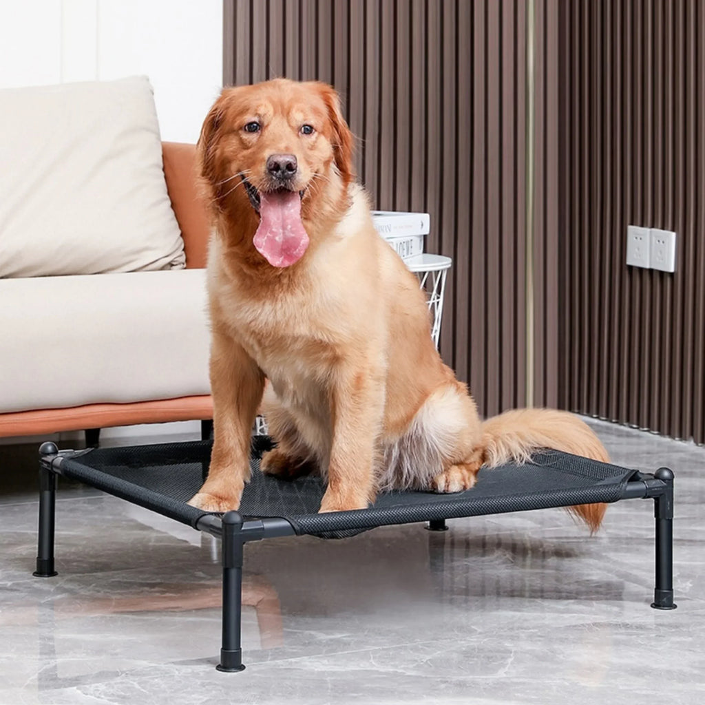 LiftEase Elevated Pet Bed