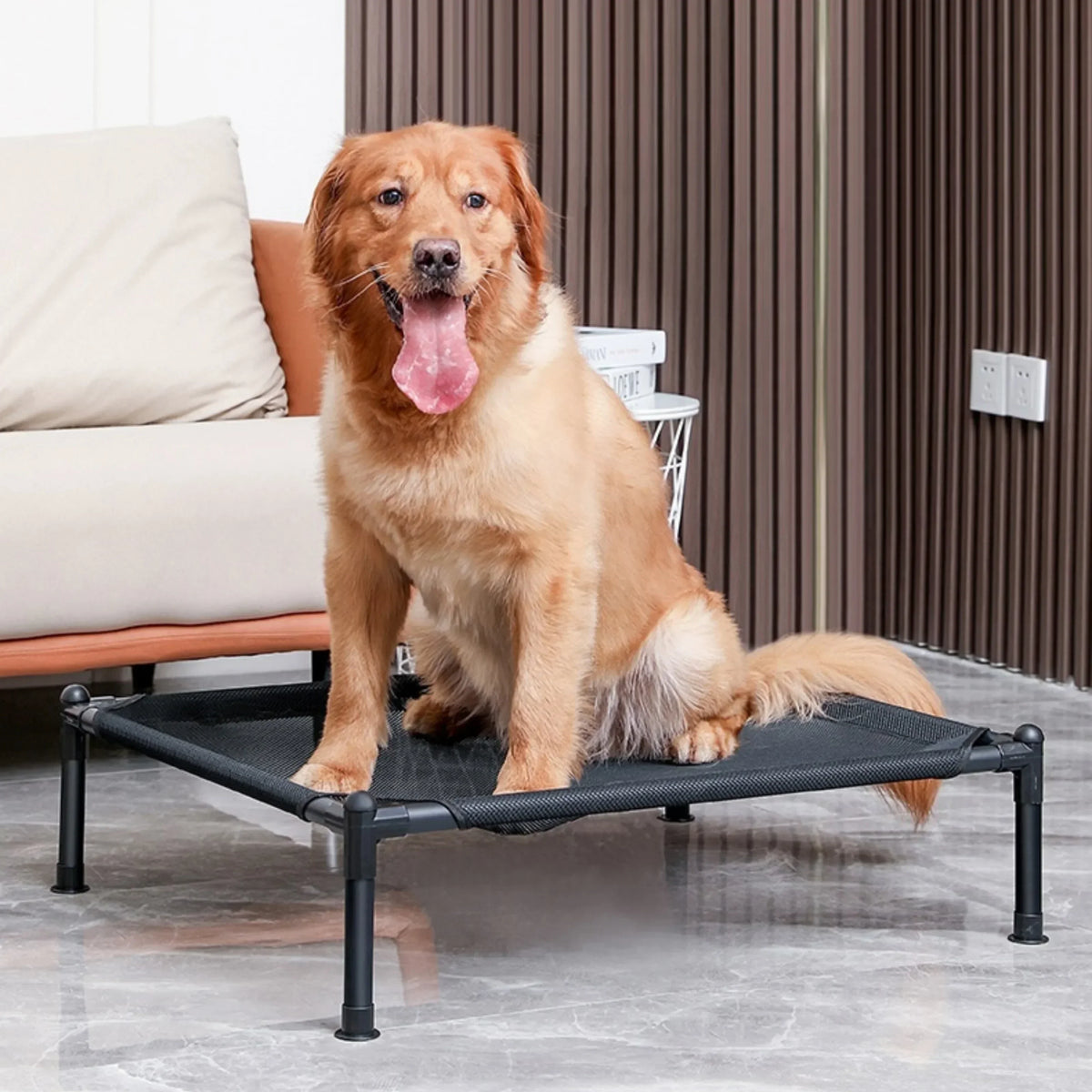 LiftEase Elevated Pet Bed