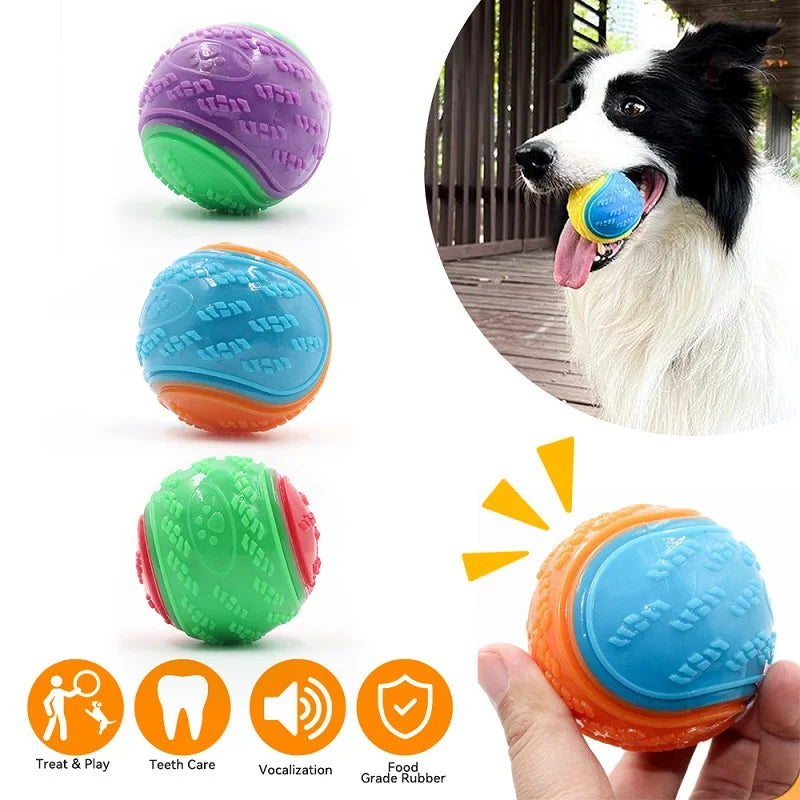 SqueakBall TPR Dog Toy