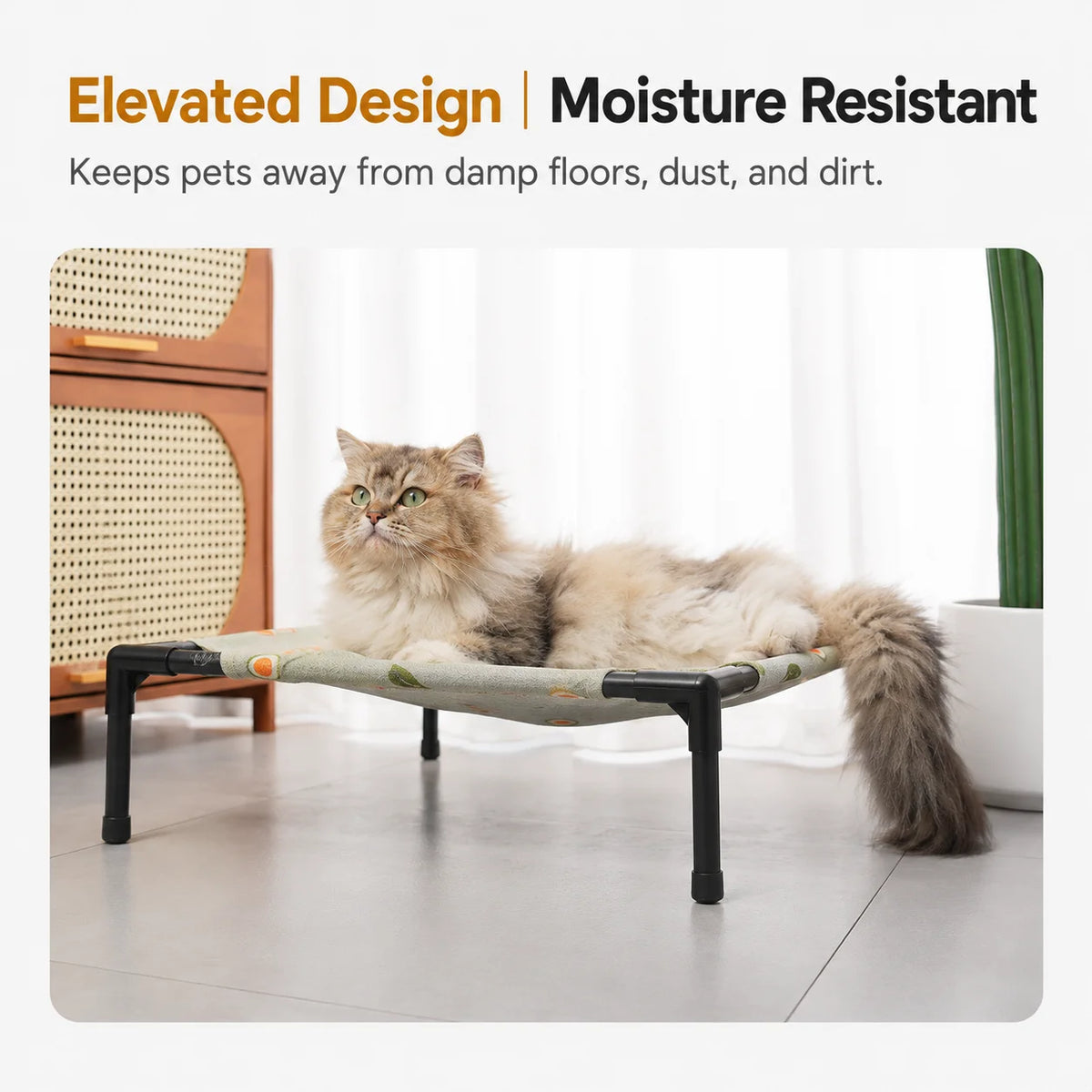 Elevate Pet Lounge