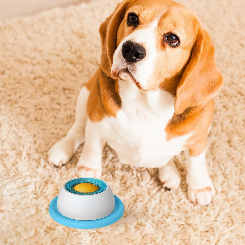 LickBowl Slow Feeder Toy