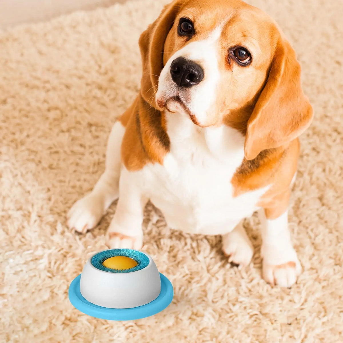 LickBowl Slow Feeder Toy
