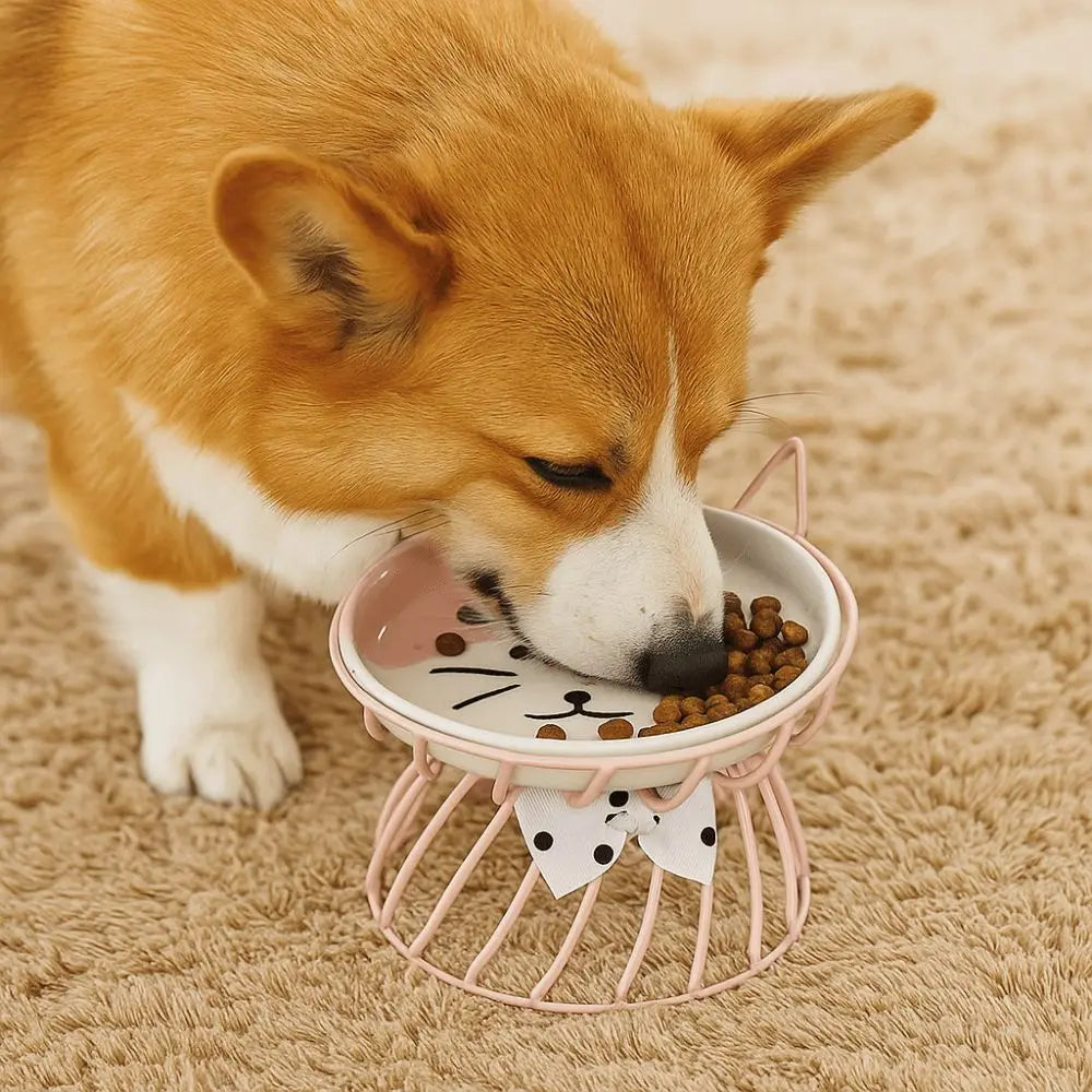 HappyBite Elevated Ceramic Cat Bowl