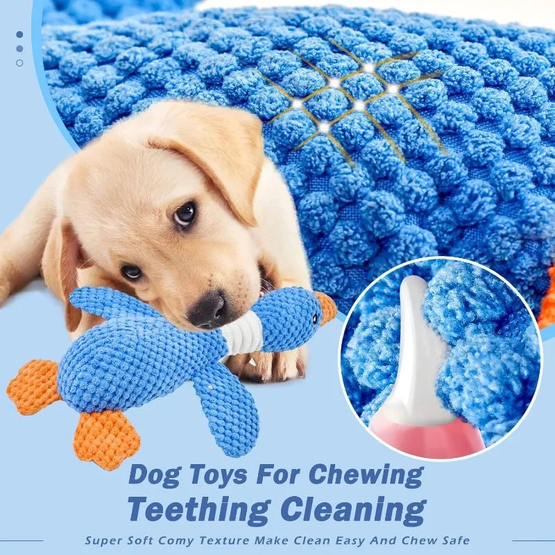 Interactive Plush Squeak Toy