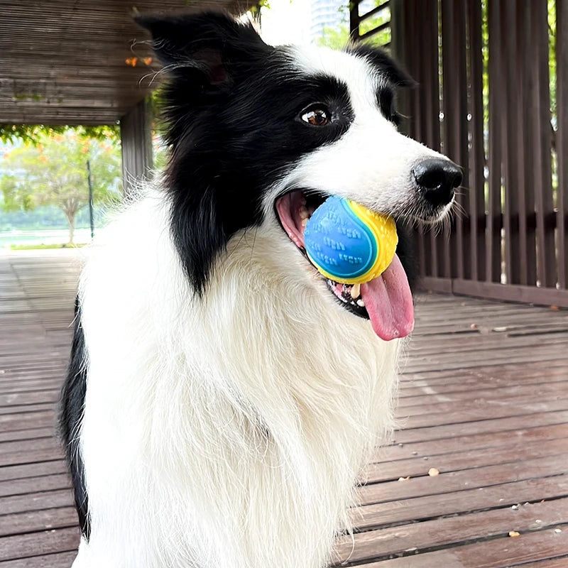 SqueakBall TPR Dog Toy