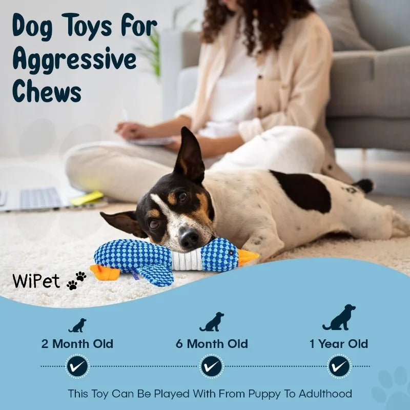 Interactive Plush Squeak Toy