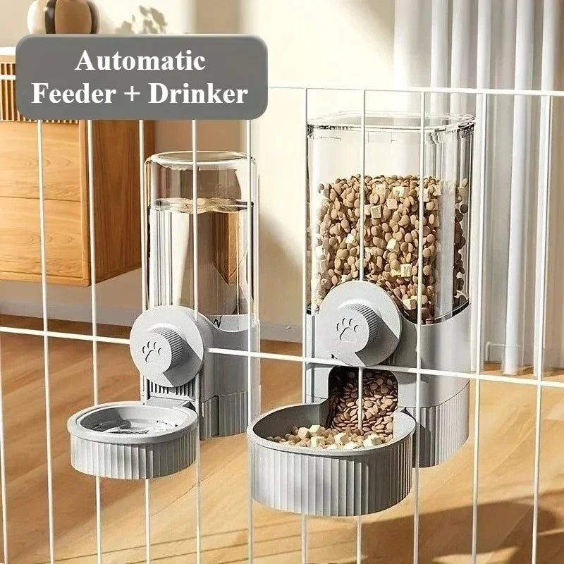 Interactive Plush Squeak Toy