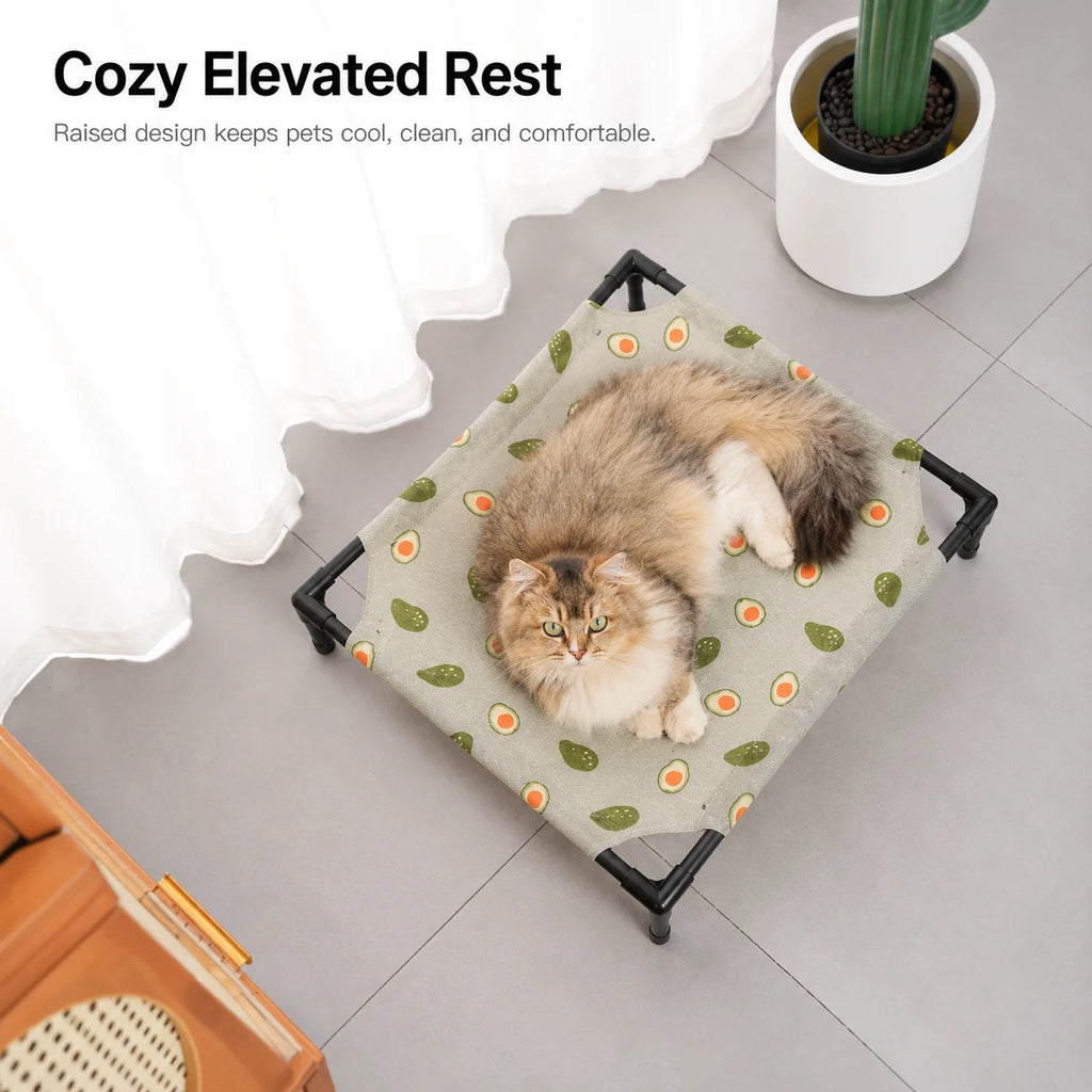 Elevate Pet Lounge
