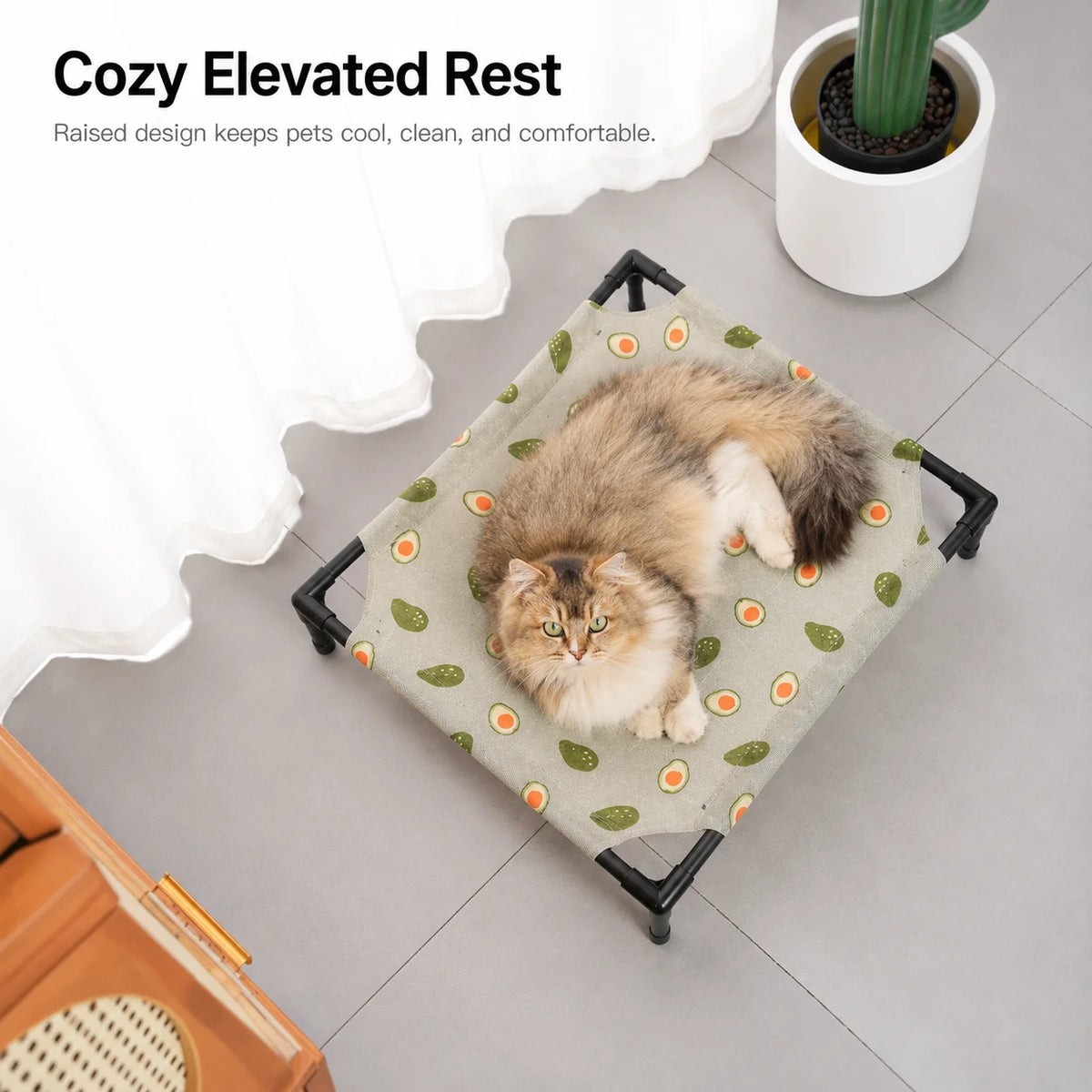 Elevate Pet Lounge
