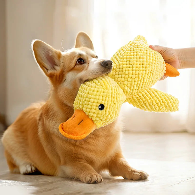 Interactive Plush Squeak Toy