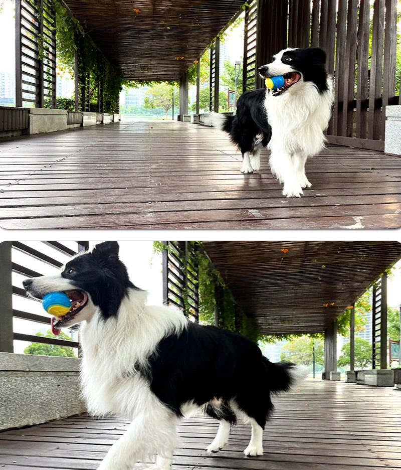 SqueakBall TPR Dog Toy