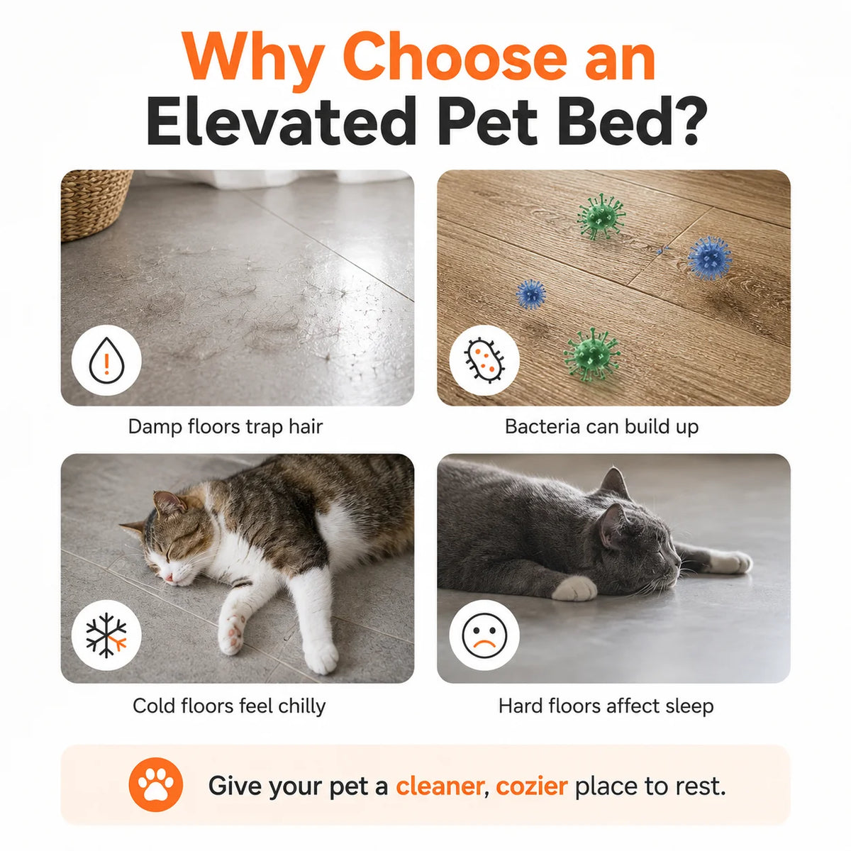 Elevate Pet Lounge