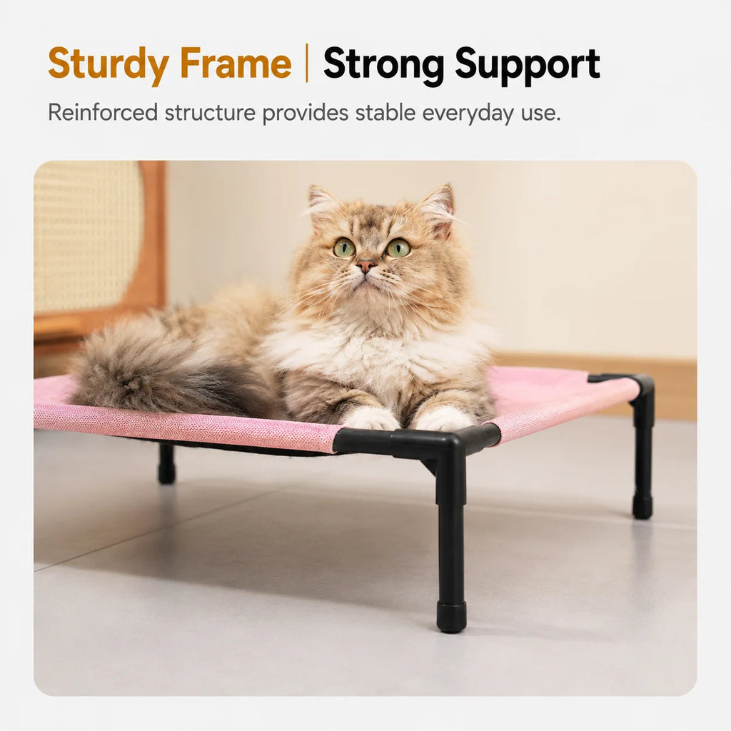 Elevate Pet Lounge