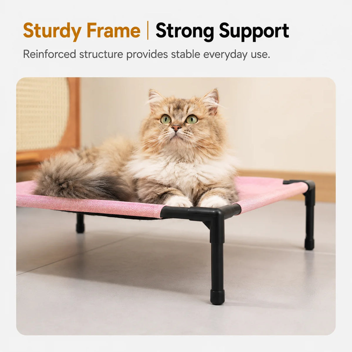 Elevate Pet Lounge