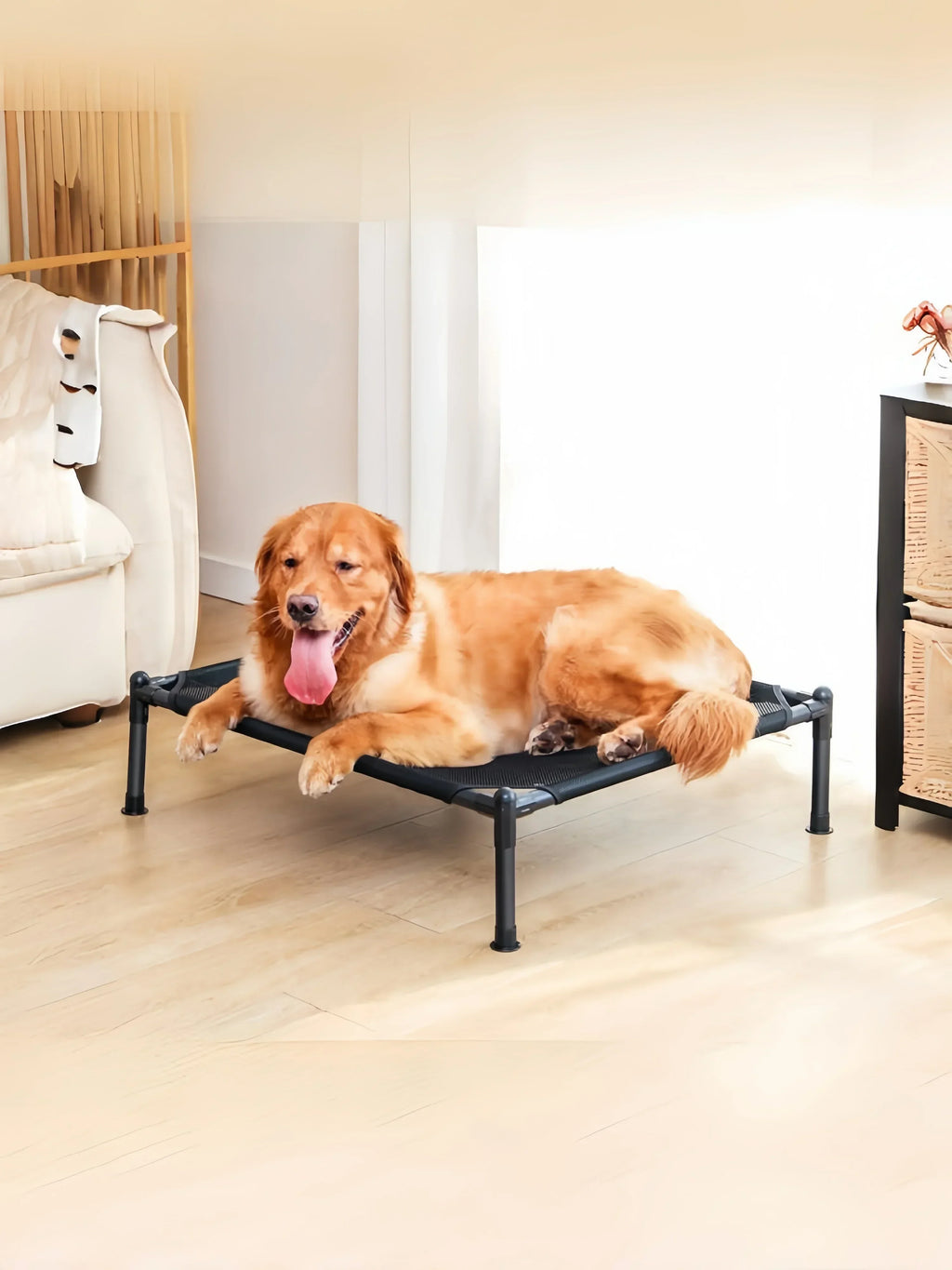 LiftEase Elevated Pet Bed