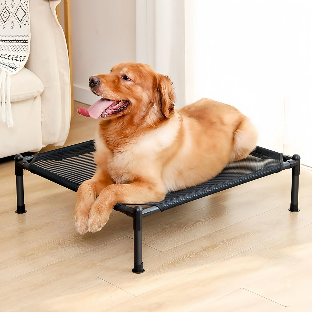 LiftEase Elevated Pet Bed