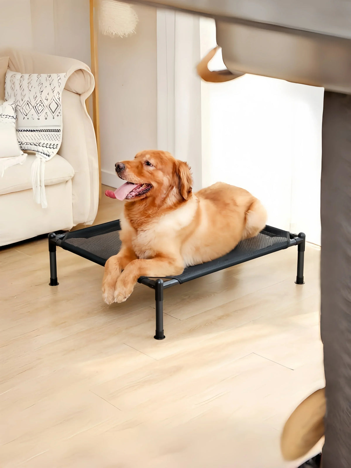 LiftEase Elevated Pet Bed