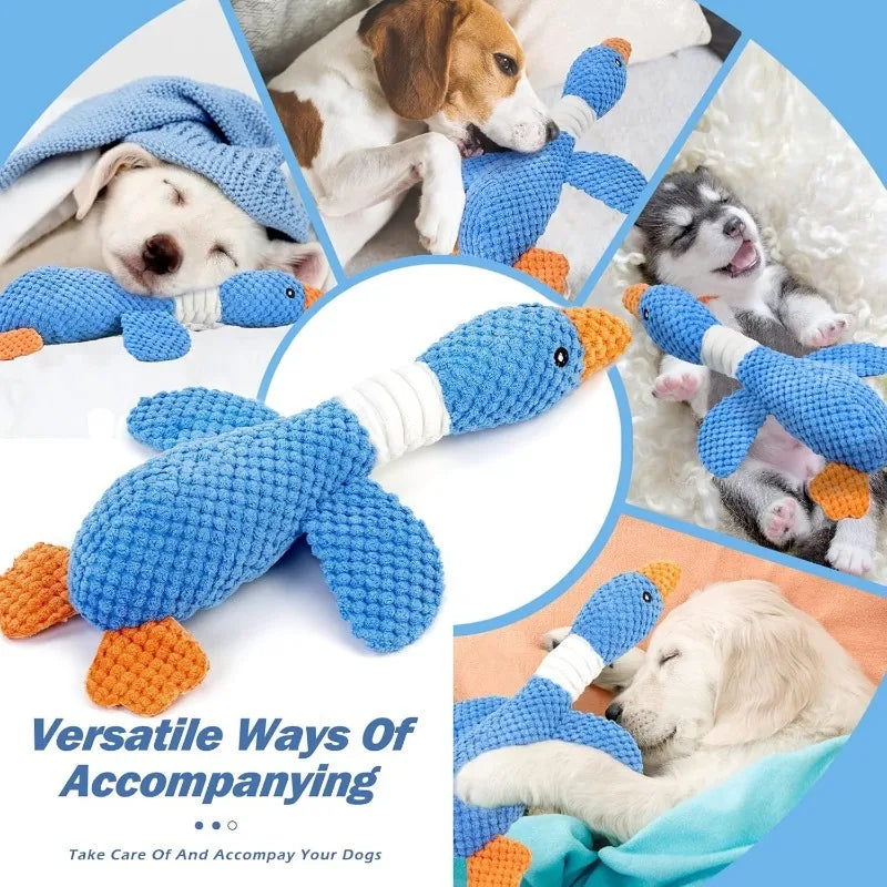 Interactive Plush Squeak Toy
