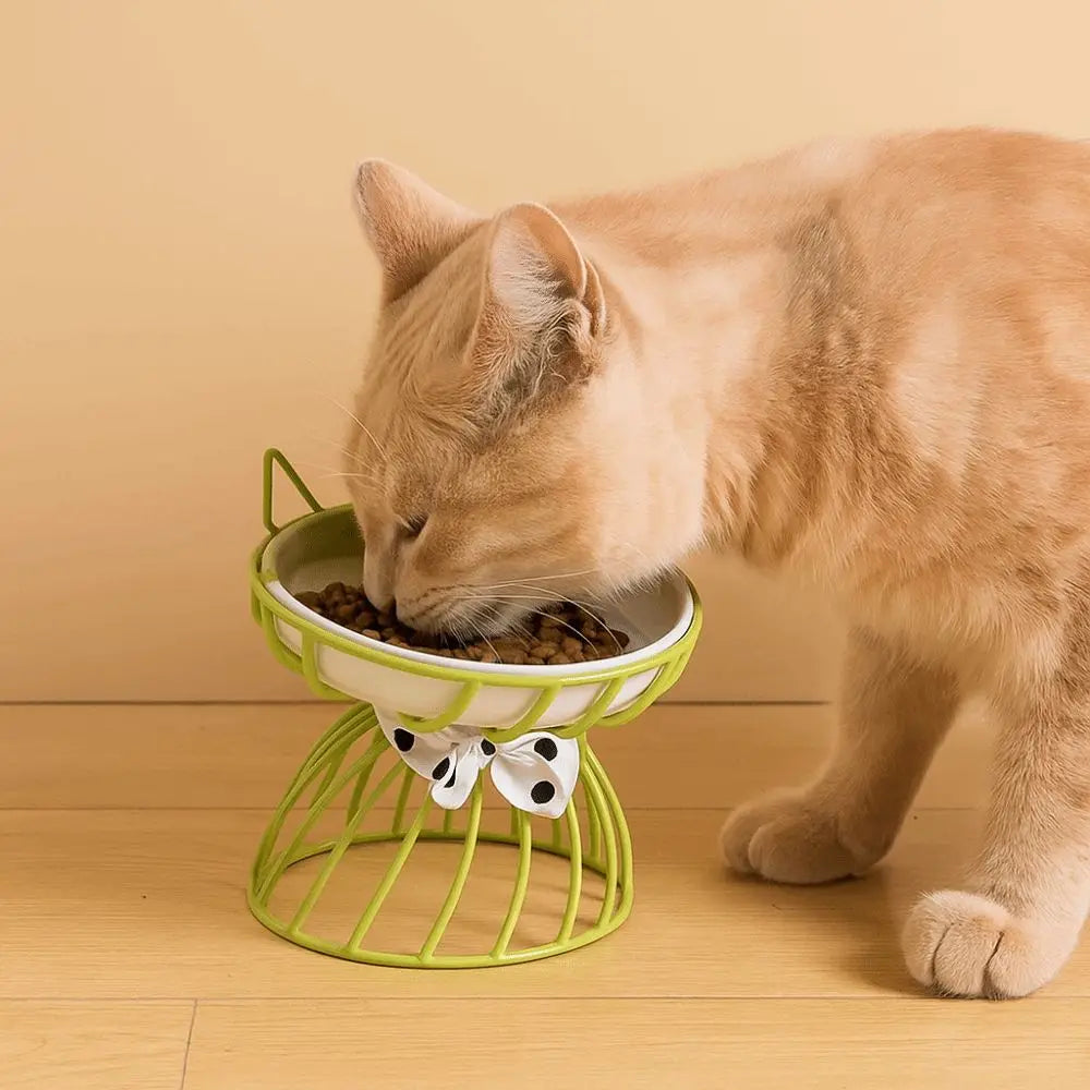 HappyBite Elevated Ceramic Cat Bowl