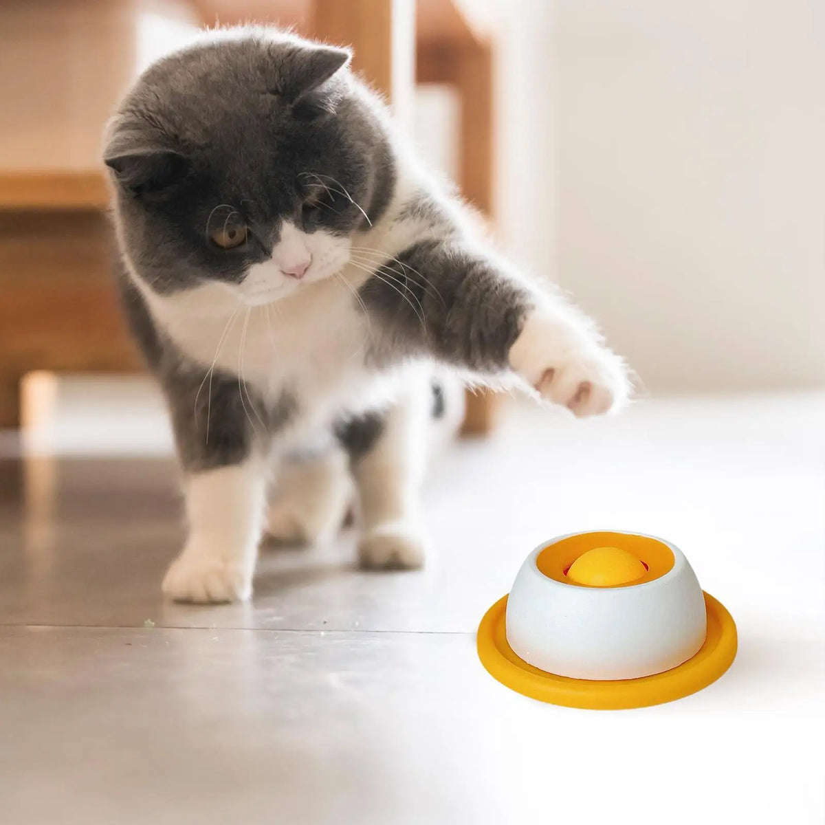 LickBowl Slow Feeder Toy
