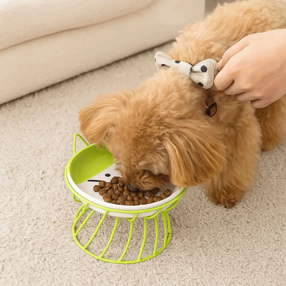 HappyBite Elevated Ceramic Cat Bowl