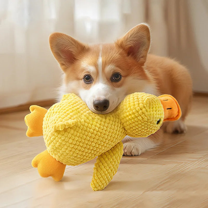 Interactive Plush Squeak Toy