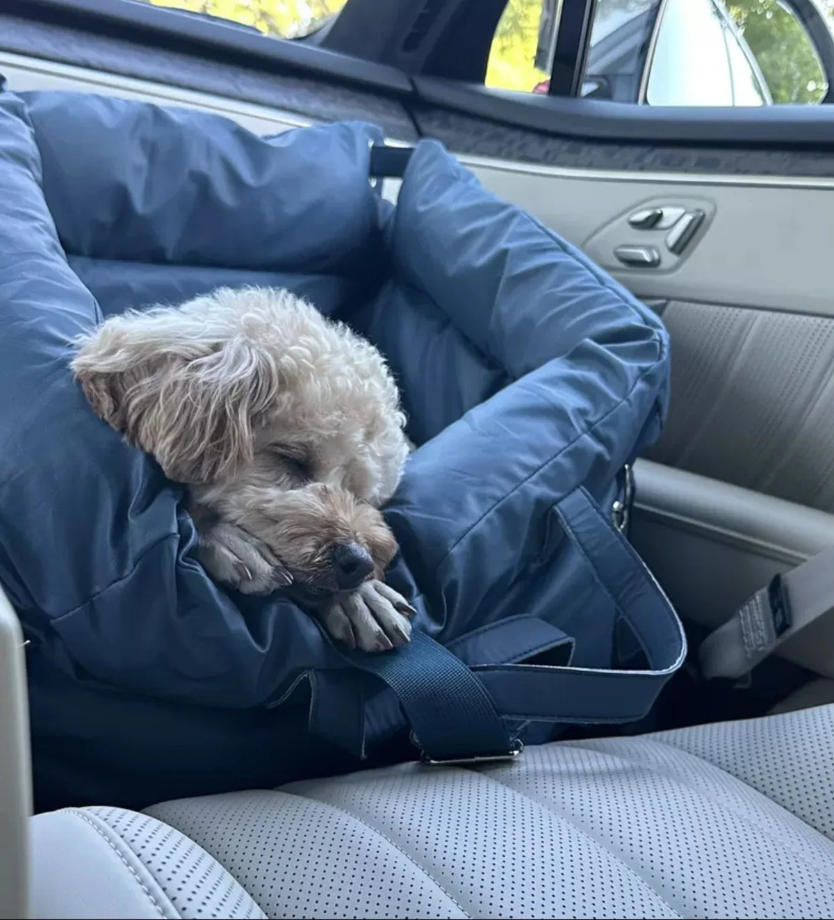 RuggedRide Waterproof Car Bed