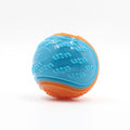 SqueakBall TPR Dog Toy
