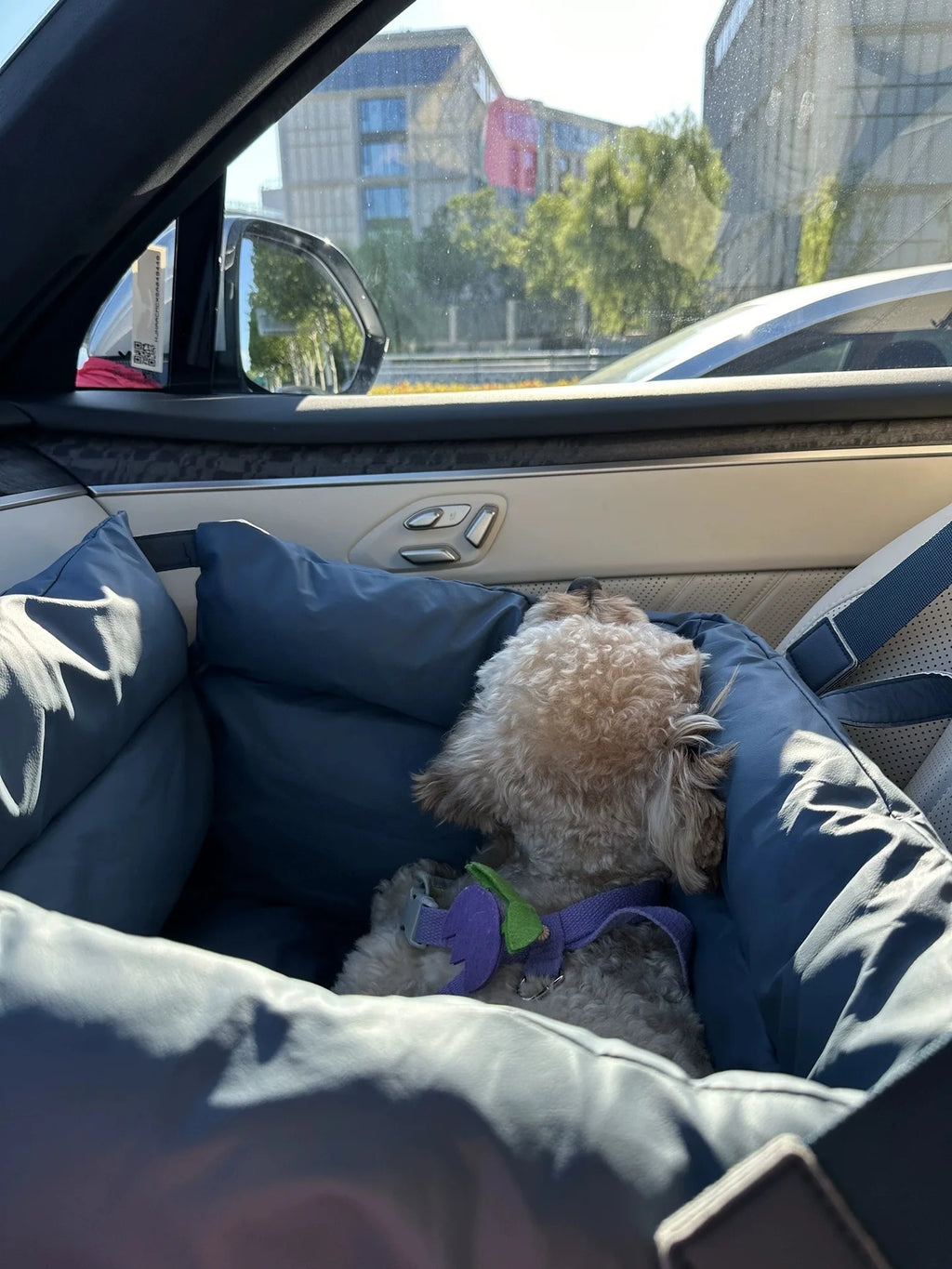 RuggedRide Waterproof Car Bed